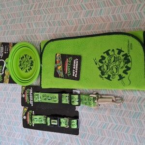 Green Ninja Turtle Dog